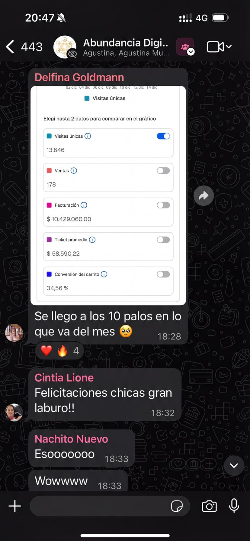 Dashboard de Delfina Goldmann